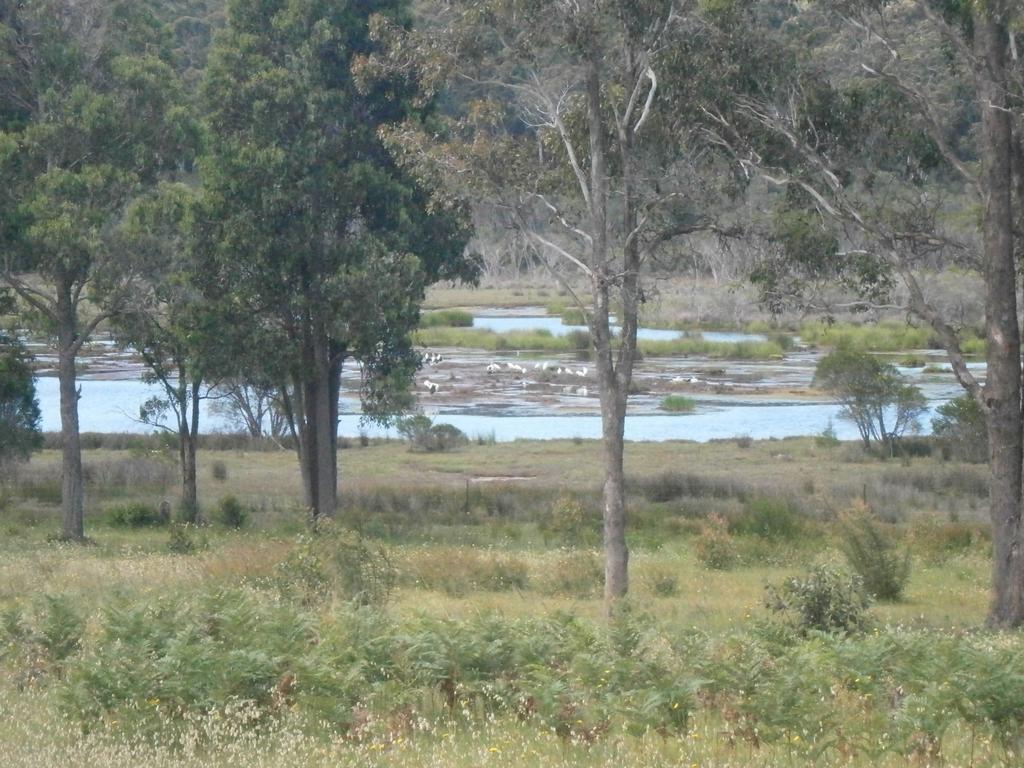 Top Of The Lake Holiday Units Merimbula Luaran gambar